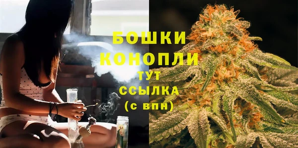MESCALINE Аркадак