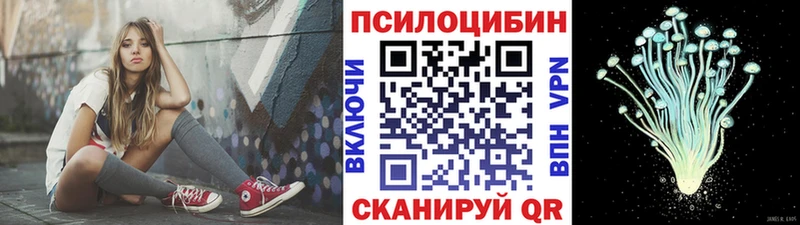 Псилоцибиновые грибы мицелий  купить наркотик  мега рабочий сайт  Кулебаки 